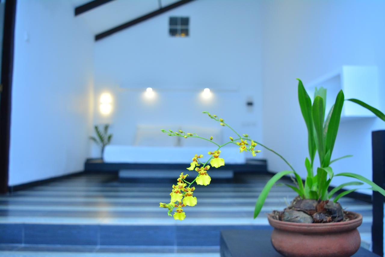 Midigama Holiday Inn المظهر الخارجي الصورة