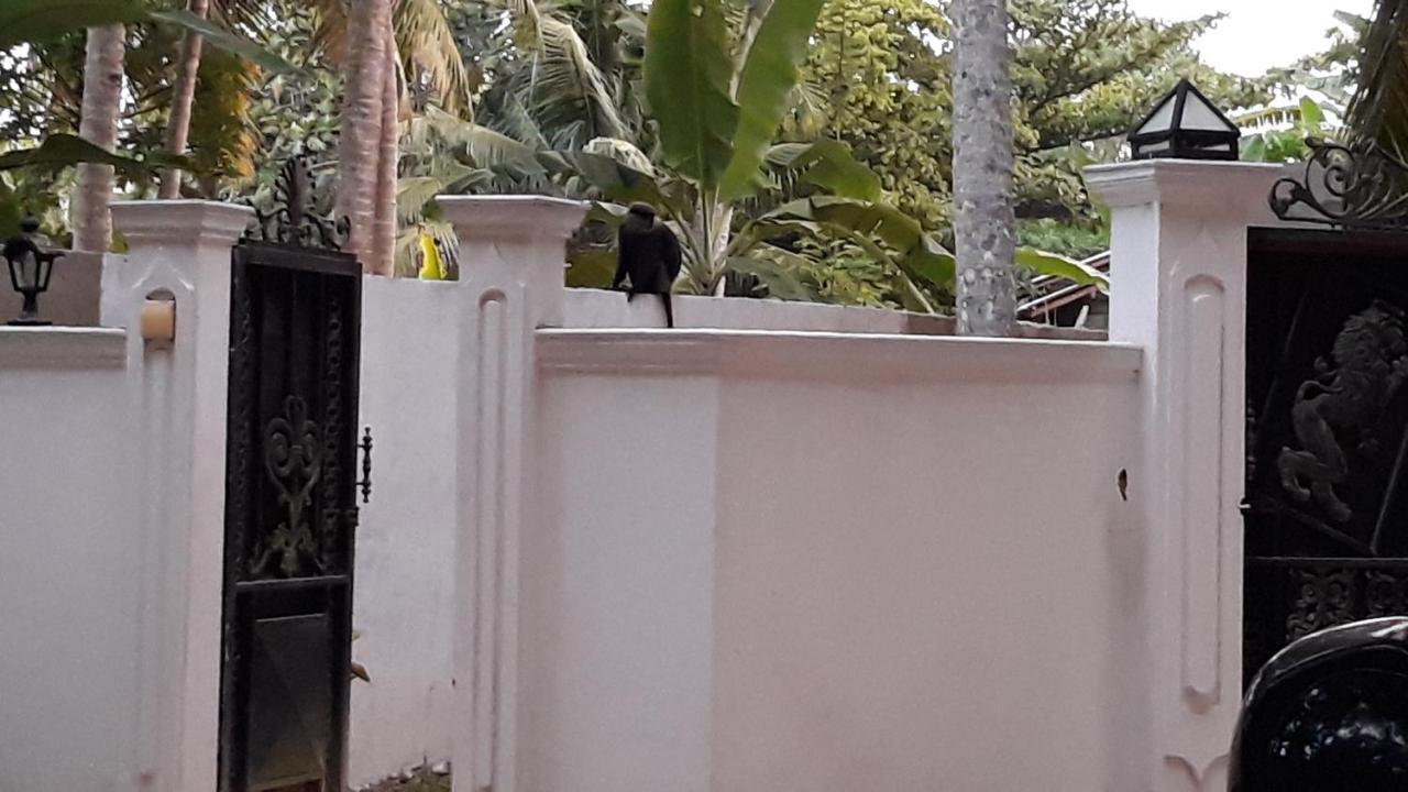Midigama Holiday Inn المظهر الخارجي الصورة